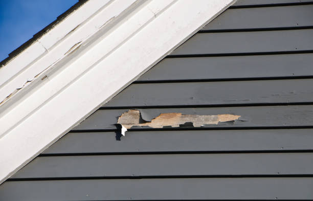 Demolition Debris Removal in Wink, TX